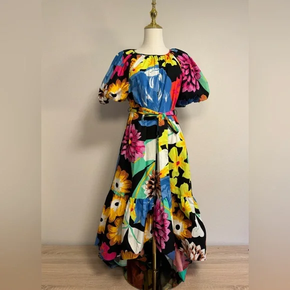 Blue and Pink Puff Sleeve Maxi Sundress - Picture 3 of 12